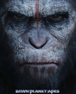 Poster-caesar portal 01.jpg (118 KB) Andy Serkis as Caesar, King of the Apes.