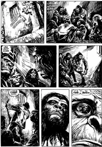 Aldo and Caesar in Marvel's Conquest of the Planet of the Apes; illustration by Alfredo Alcala