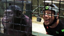 Serkis to Caesar.jpg