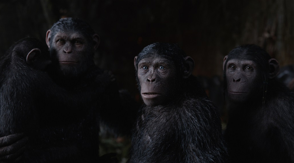 Caesar s Family CE Planet of the Apes Wiki Fandom