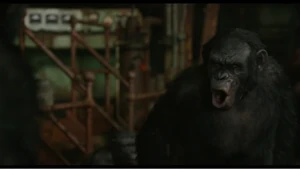 Koba berates Caesar for loving humans.