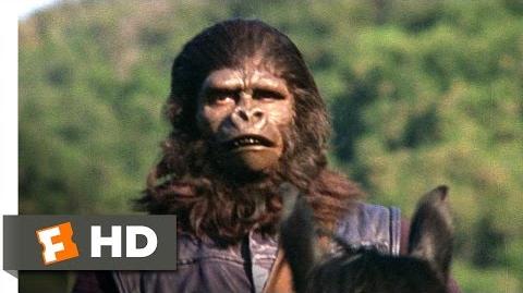 Planet of the Apes (1 5) Movie CLIP - The Human Hunt (1968) HD