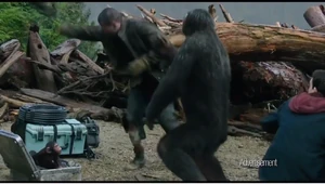 Blue Eyes protects Cornelius.