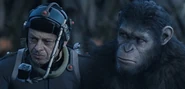Dotpota-comparison-caesar-tsr.jpg (19 KB) Motion Capture Split Screen: Andy Serkis as Caesar.