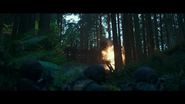 The Ape and Human armies fighting in the woods.