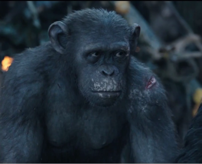 rise of the planet of the apes blue eyes