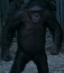 Donkey with Whip
