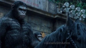 Returning to San Francisco.