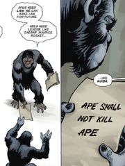 Caesar establishes their ultimate law