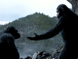 Caesar promises Koba the apes will show their strength.
