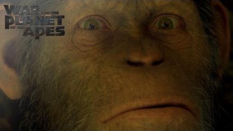 War for the Planet of the Apes Witness The End 20th Century FOX