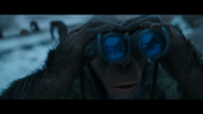 WPOTA Bad Ape with binoculars