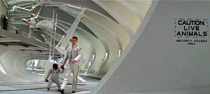 Leo And Pericles aboard the Oberon