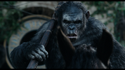 Koba, the main antagonist of Dawn of the Planet of the Apes.