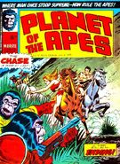 Issue #11: Planet of the Apes