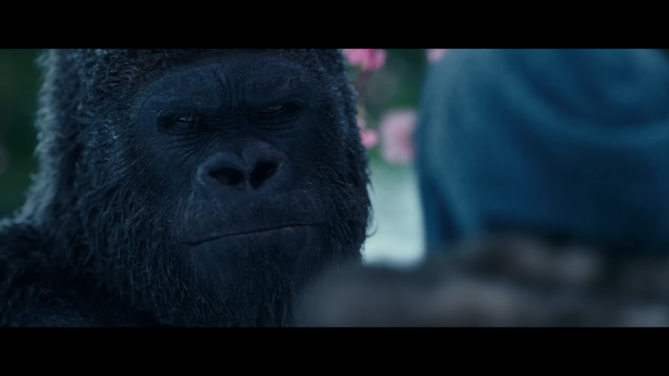 rise of the apes gorilla