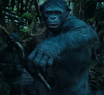 NECA Planet of the Apes Classic Series 1 Gorilla Soldier