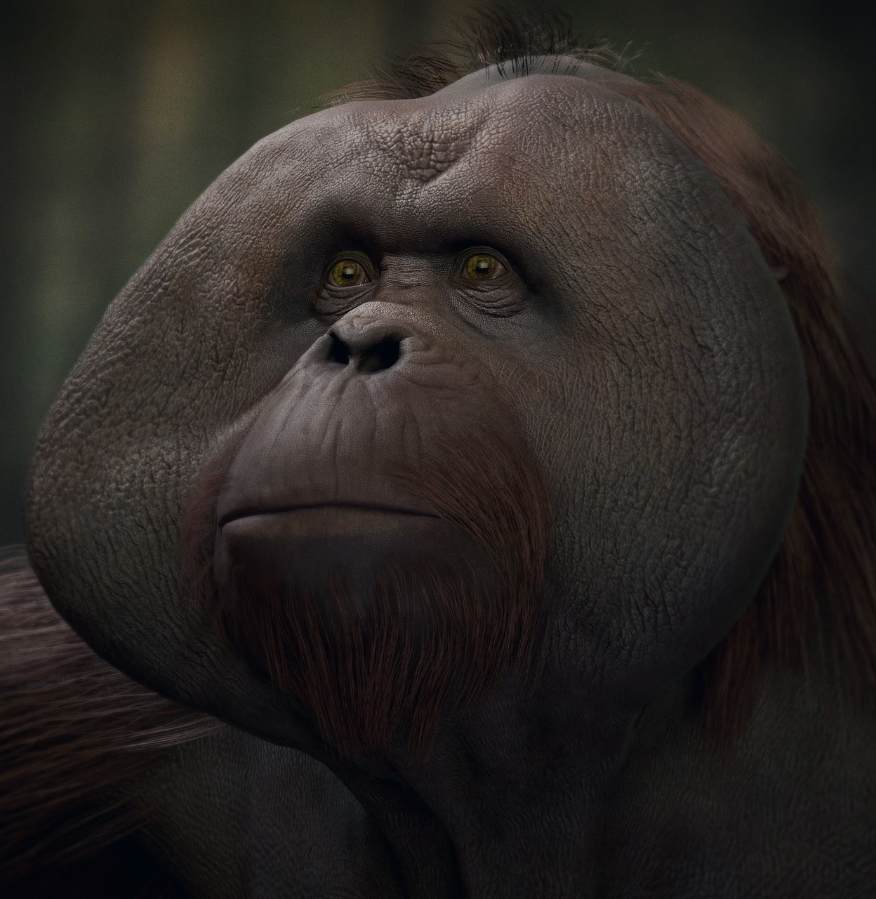 Clarence | Planet of the Apes Wiki | Fandom