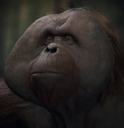 POTA-LF Clarence.jpg (277 KB)