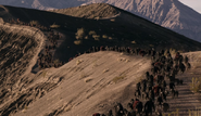 The Colony migrating to their new home