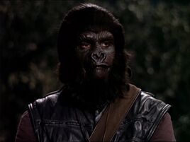 Police gorilla2
