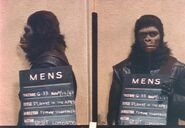 Lombardotest.jpg (75 KB) Robert Lombardo (12 April '67)