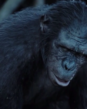 Koba Planet Of The Apes Wiki Fandom