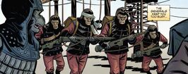 The simian age-Training