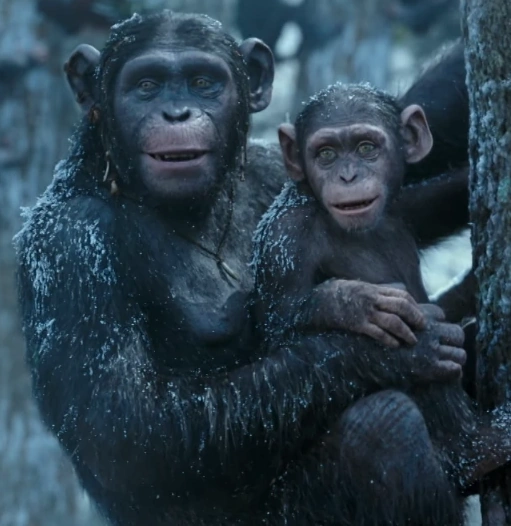 Lake of the Apes Wiki Fandom