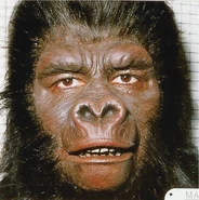 Costume Test23.jpg (102 KB)