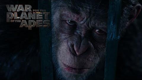 War for the Planet of the Apes Compassion 20th Century FOX
