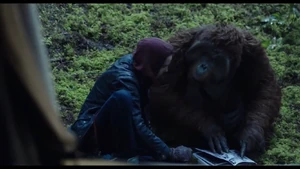 Alexander teaches Maurice.