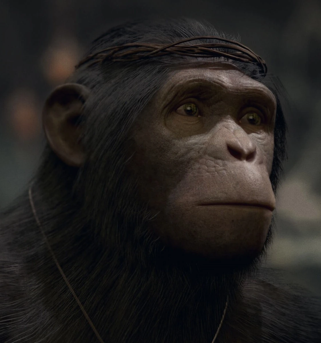 Apes перевод