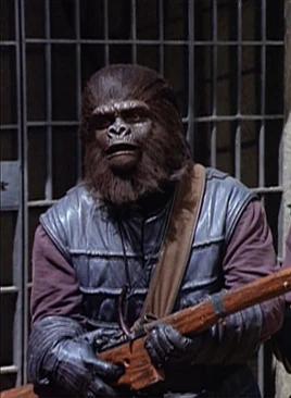 Ron Stein gladiators