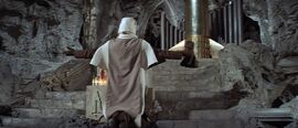 Verger2