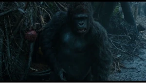 Luca, Caesar's new fourth in command.