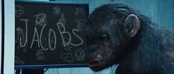 Rise of the Planet of the Apes koba.png