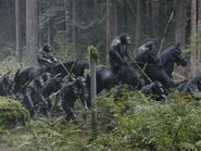 Apes riding through the Forest.