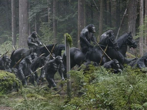 Apes riding through the Forest.