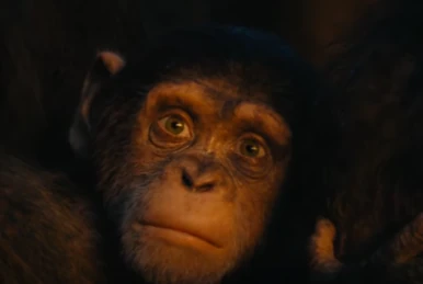 la planète des singes 1968 Cornelius