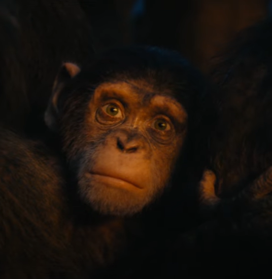 caesar son dawn of the planet of the apes
