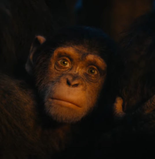 Rise Of The Apes Actress Rise Of The Apes Actress
