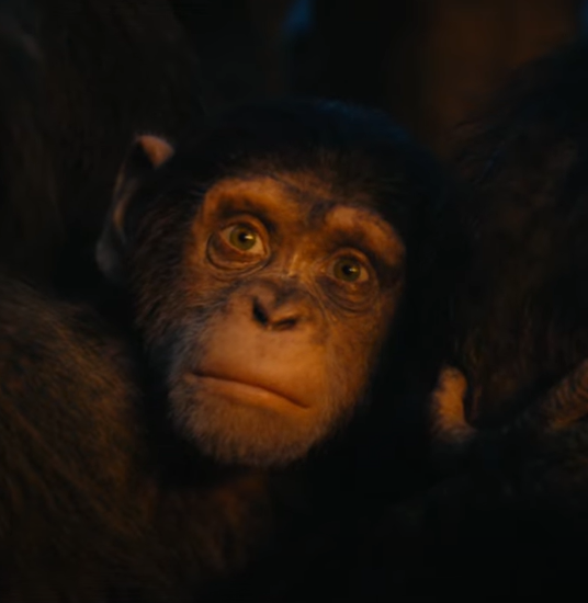 Ben Nye, Planet of the Apes Wiki