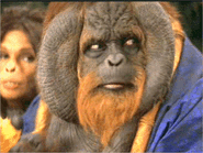 Nado - a bornean orangutan depicted in Planet of the Apes (2001)