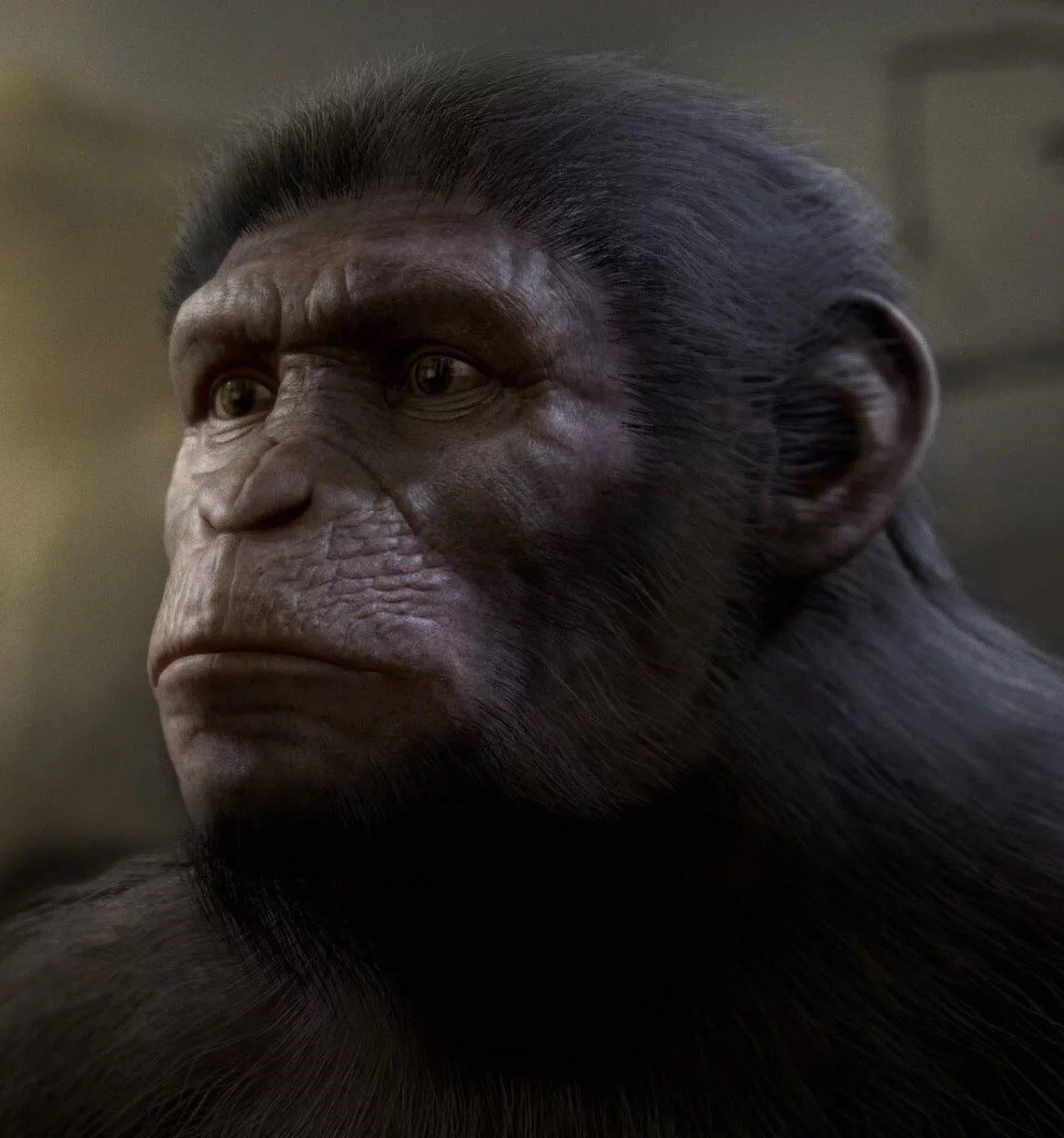 Bryn | Planet of the Apes Wiki | Fandom