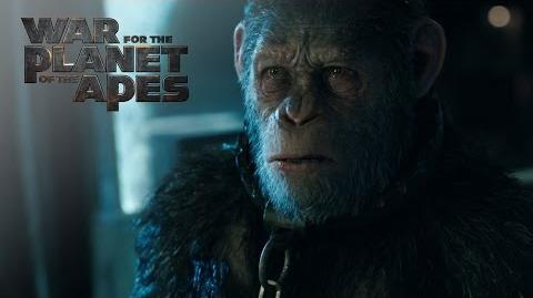 War for the Planet of the Apes "Witness The End" TV Commercial 20th Century Fox