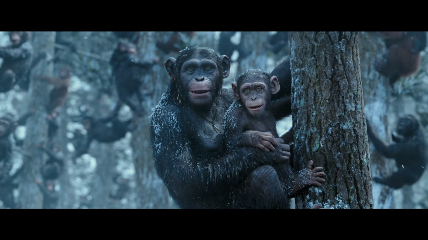 rise of the planet of the apes blue eyes