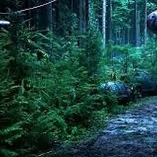 Ape Village Planet Of The Apes Wiki Fandom We hope you enjoy our growing. ape village planet of the apes wiki