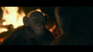 WPOTA Bad Ape tells Caesar he's been running to survive