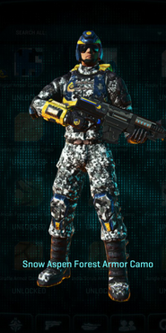 NC Engineer with Snow Aspen Forest armor camouflage applied.